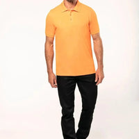 Recommended Polo Shirts