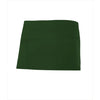 Avental Curto Reinal-Verde Floresta 04-Unico-RAG-Tailors-Fardas-e-Uniformes-Vestuario-Pro