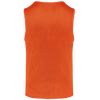 Colete de Treino Reversível Multidesportos Unissexo-RAG-Tailors-Fardas-e-Uniformes-Vestuario-Pro