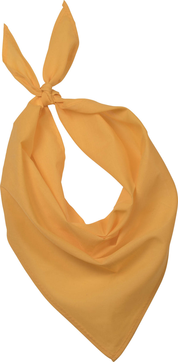 Fiesta - Lenço-Amarelo-Único-RAG-Tailors-Fardas-e-Uniformes-Vestuario-Pro