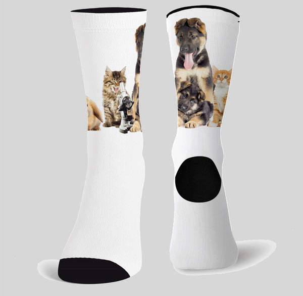 Meias Padrão Zoo ( 1 par )-RAG-Tailors-Fardas-e-Uniformes-Vestuario-Pro