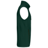Verde Garrafa