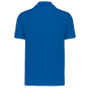 Azul Royal Desportivo
