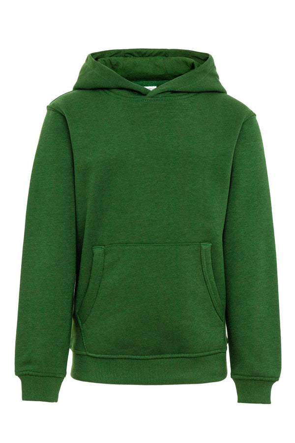 SweatShirt Infantil c\capuz Alivor (12de 2)-Bottle Green-12-RAG-Tailors-Fardas-e-Uniformes-Vestuario-Pro