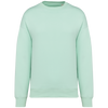 Sweatshirt Eco-Responsável Oversize Unissexo-Brook Green-XXS-RAG-Tailors-Fardas-e-Uniformes-Vestuario-Pro