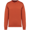 Sweatshirt Eco-Responsável Oversize Unissexo-Burnt Brick-XXS-RAG-Tailors-Fardas-e-Uniformes-Vestuario-Pro