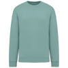 Sweatshirt Eco-Responsável Oversize Unissexo-Jade Green-XXS-RAG-Tailors-Fardas-e-Uniformes-Vestuario-Pro