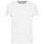 T-Shirt Homem Bio 150IC decote redondo (1 de 4)-Branco-S-RAG-Tailors-Fardas-e-Uniformes-Vestuario-Pro