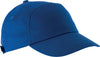 bleu royal