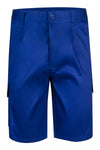 bleu royal