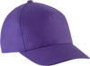Viola