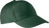 Vert forêt