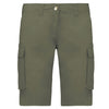 light khaki