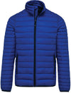 Bleu royal clair