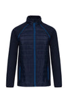 Marine / Bleu Royal Clair