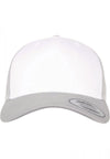 SILVER / WHITE