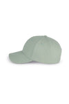 Plata/Gris claro