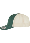 Verde / Bege