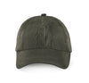 Ivy Green Washed