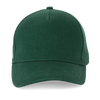 Verde Floresta