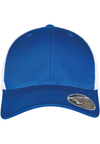Azul Royal / Branco