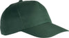 Foresta Verde