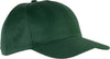 Foresta Verde