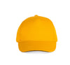Jaune / Gris Foncé