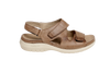 Taupe 1
