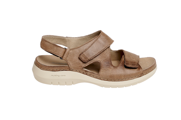 Taupe 1