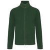 Verde foresta