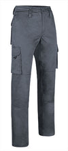 Gris 109