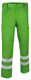 Erba verde