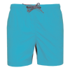 Turquoise Clair