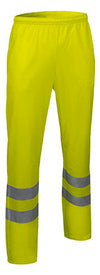 Giallo fiorente