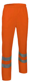 Arancio in fiore