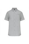 Grigio neve