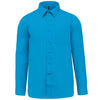 Turquoise brillant