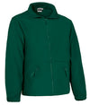 Verde bottiglia