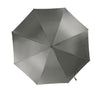 Pizarra gris