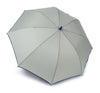 Storm Gray / Royal Blue