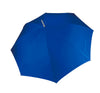 Azul real