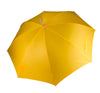 Amarillo verdadero