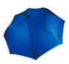 Azul real