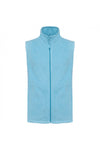 Cloudy Blue Heather