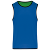 Colete Rugby Reversível Unissexo-Azul Royal Desportivo / Verde-S/M-RAG-Tailors-Fardas-e-Uniformes-Vestuario-Pro