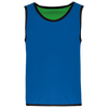 Colete Rugby Reversível de Criança-Azul Royal Desportivo / Verde-6/10 Anos-RAG-Tailors-Fardas-e-Uniformes-Vestuario-Pro
