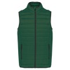 Verde Floresta