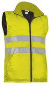 Giallo fiorente