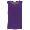 Púrpura Deportivo/Gris Deportivo